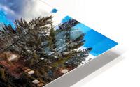 2846 HD Metal print