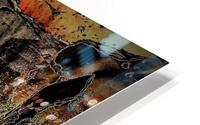 2857 HD Metal print