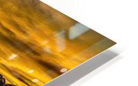 2861 HD Metal print
