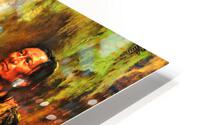 2864 HD Metal print