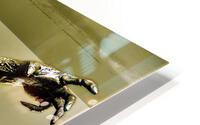 2879 HD Metal print
