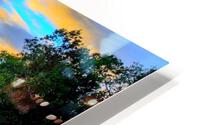 2883 HD Metal print