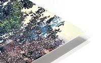 2895 HD Metal print