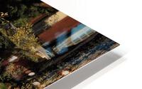 2914 HD Metal print