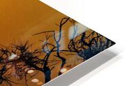 3013 HD Metal print