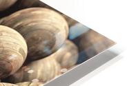 3014 HD Metal print
