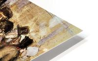 3050 HD Metal print