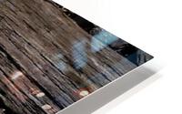 3065 HD Metal print