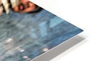3066 HD Metal print