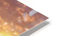 3081 HD Metal print