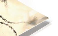 3100 HD Metal print