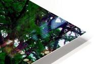 3155 HD Metal print