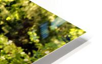3157 HD Metal print