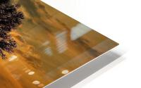 3190 HD Metal print