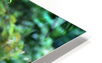 3199 HD Metal print