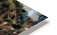 3207 HD Metal print