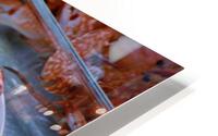 3222 HD Metal print