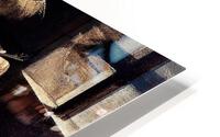 3226 HD Metal print
