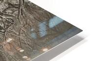 3231 HD Metal print