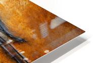 3241 HD Metal print
