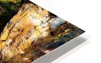3253 HD Metal print
