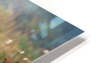3254 HD Metal print