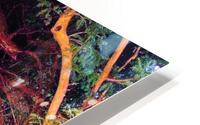 3261 HD Metal print
