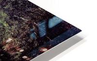 3269 HD Metal print
