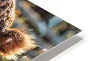 3273 HD Metal print