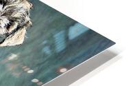 3281 HD Metal print