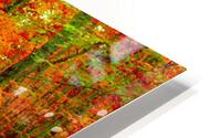 3285 HD Metal print