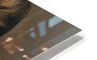 3295 HD Metal print