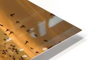 3305 HD Metal print
