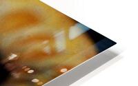 3359 HD Metal print