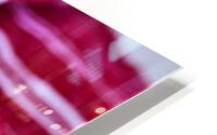 3360 HD Metal print