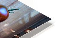3380 HD Metal print