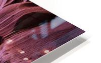 3386 HD Metal print