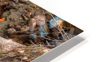 3468 HD Metal print