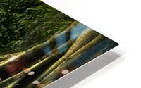 3483 HD Metal print