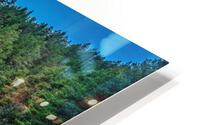 3484 HD Metal print