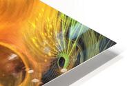 3501 HD Metal print