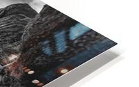 3513 HD Metal print