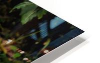 3514 HD Metal print