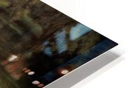3520 HD Metal print
