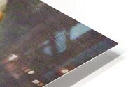 3532 HD Metal print