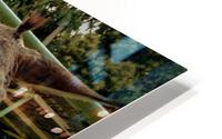 3567 HD Metal print