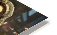 3576 HD Metal print
