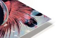 3586 HD Metal print