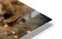 3617 HD Metal print