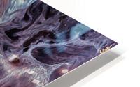 3621 HD Metal print